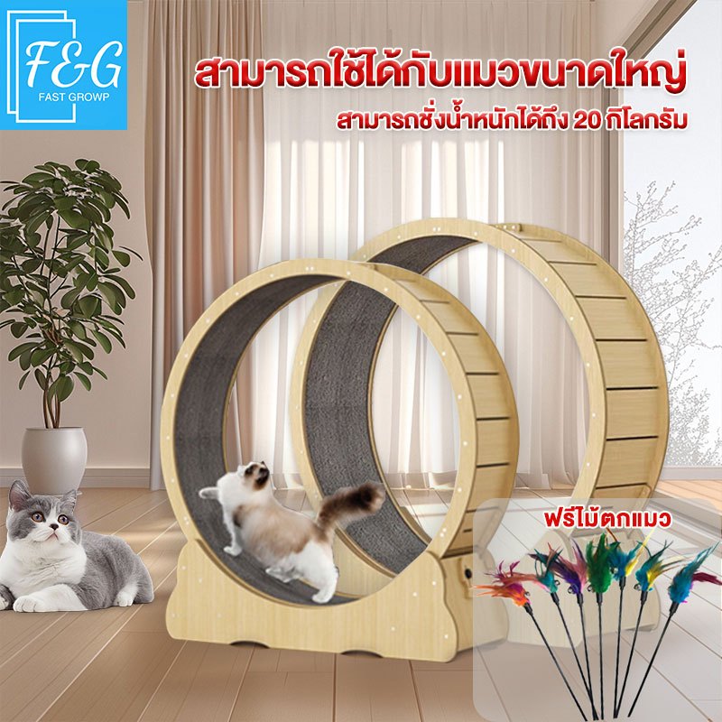 F&G ลู่วิ่งแมว cat toys ล้อวิ่งไม้ ที่ออกกำลังกายแมว ของเล่นออกกำลังกายแมว ของเล่นแมว ติดตั้งง่าย