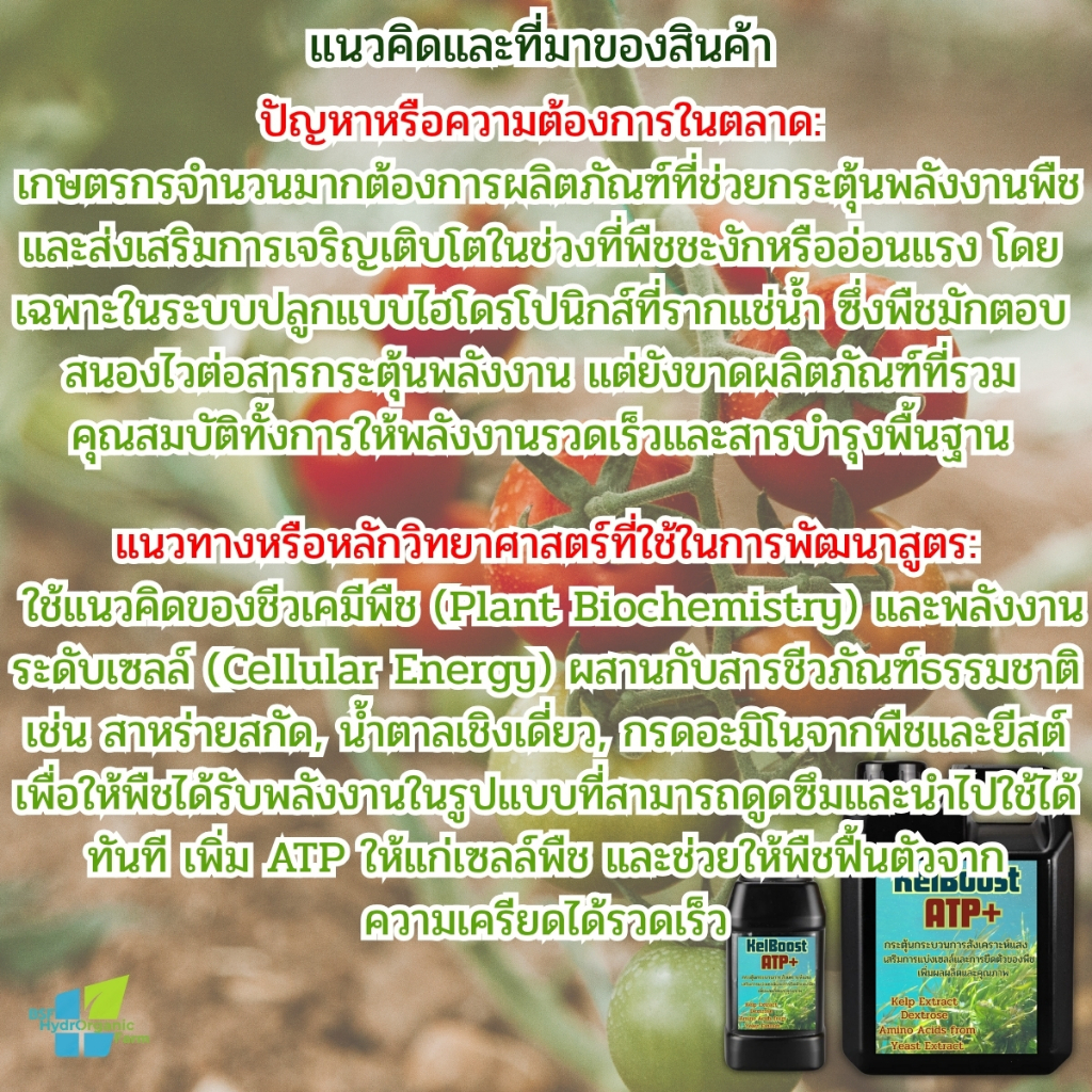 สาหร่ายเคลป์สกัดเข้มข้น +อะมิโน+ ฟลูวิค ฮอร์โมนเร่งโตใวใบเขียว กิ่งก้านใหญ่ใบอวบ สะสมสารอาหาร - รูปที่ 5