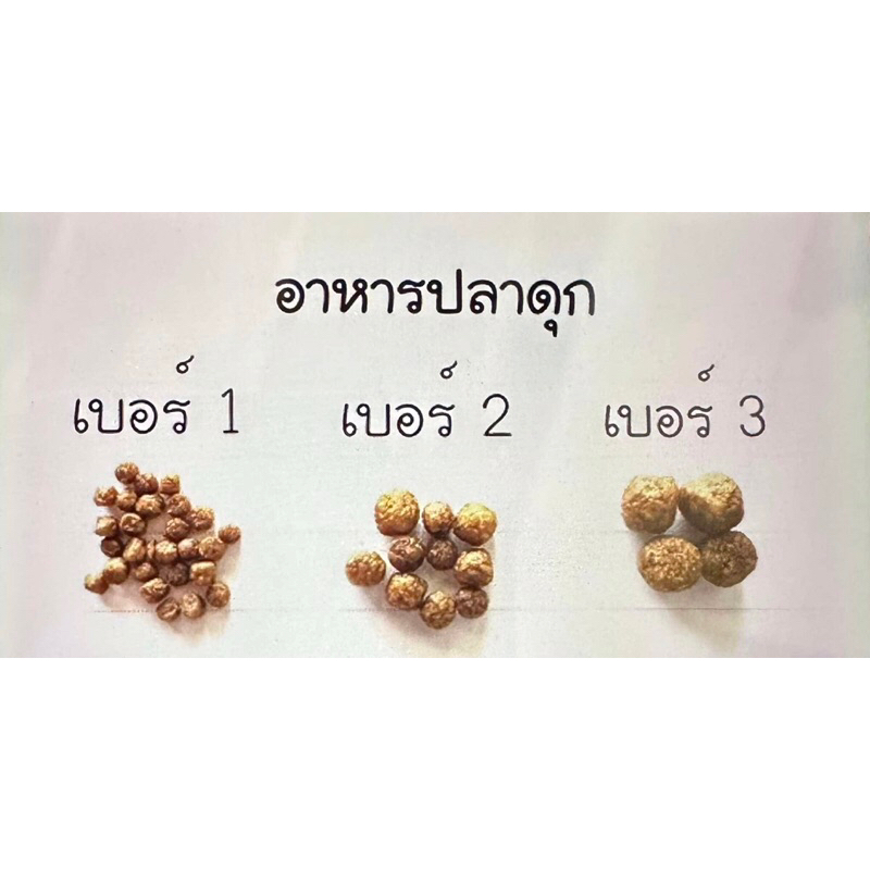 อาหารปลาดุก ATTRACT FEED ในเครือ ป.เจริญพันธ์ (แบบแบ่งขาย 1 กิโลกรัม)