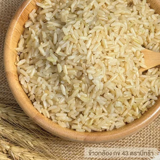 ข้าวกล้องกข43 (2 กก.) ปลอดสาร ข้าวเพื่อสุขภาพ คัดพรีเมี่ยมจากเกษตรกรโดยตรง แบรนด์บีทร้า
