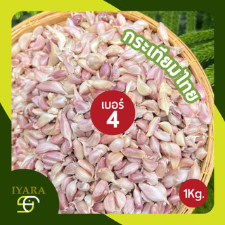 กระเทียมไทยแกะกลีบ เบอร์4 (ไซส์เล็กสุดไซส์ขายดีที่สุด) 1กิโลกรัม