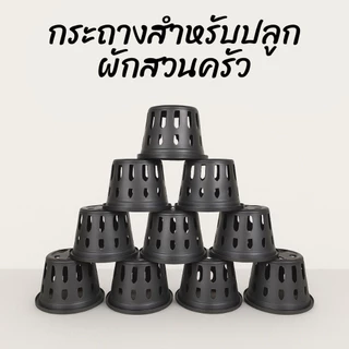 กระถางพลาสติกสำหรับปลูกผักสวนครัว ขนาด 4 นิ้ว คุณภาพเกรด A - เกษตรกรรมยั่งยืน