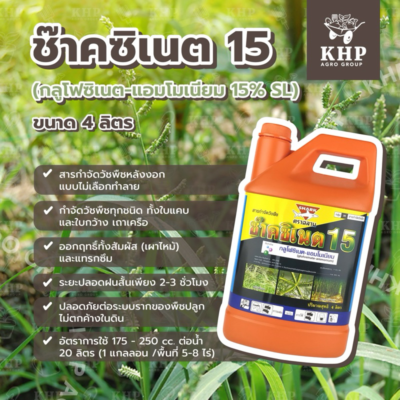 ช๊าคซิเนต 4 ลิตร (สูตร เผาไหม้) กลูโฟซิเนต15% W/V SL✨ กำจัดวัชพืชทุกชนิดหลังงอก ไม่เลือกทำลาย สลายตัวง่ายไม่ตกค้าง กลูโฟ
