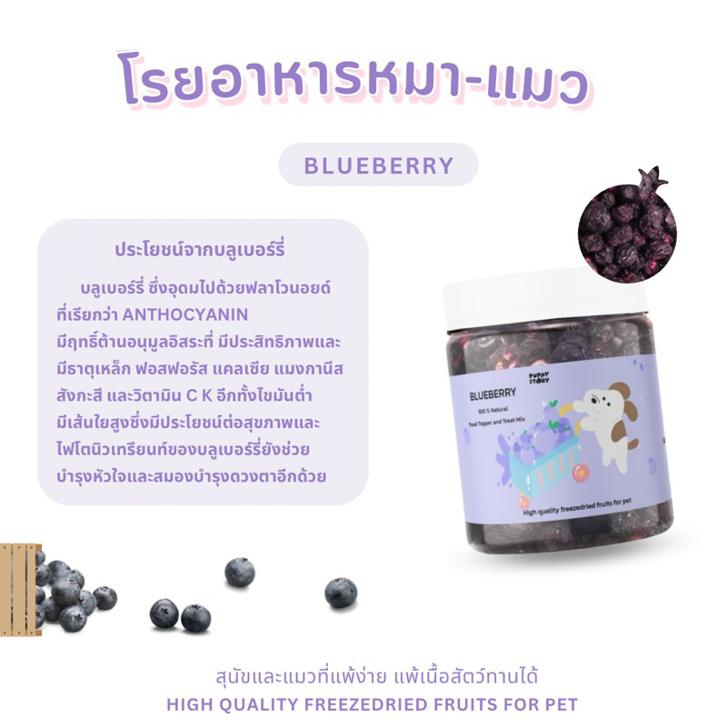 รูปภาพ 5