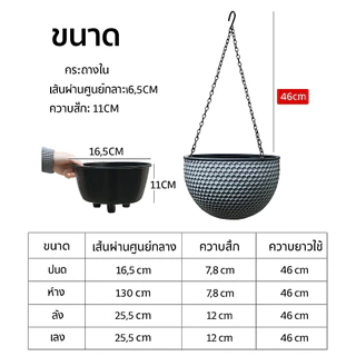 กระถางแขวนดอกไม้ มินิมอล สีสันสดใส พร้อมสายโซ่ แข็งแรง ทนทาน ราคาคุ้มค่า เหมาะกับตกแต่งสวนและบ้านCOD