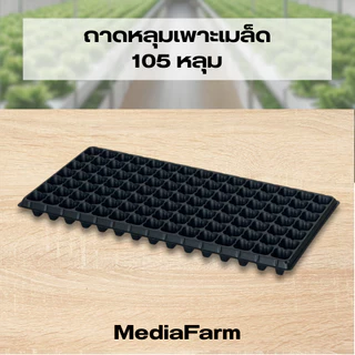 ถาดหลุมเพาะเมล็ด ถาดเพาะเมล็ด