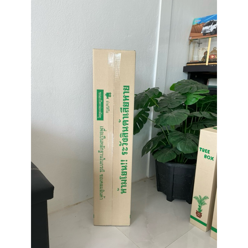 กล่องใส่ต้นไม้เบอร์Lยาวขนาด 16 × 75 × 12 cmแพ็คละ 20 ใบกระดาษKi150 - รูปที่ 2