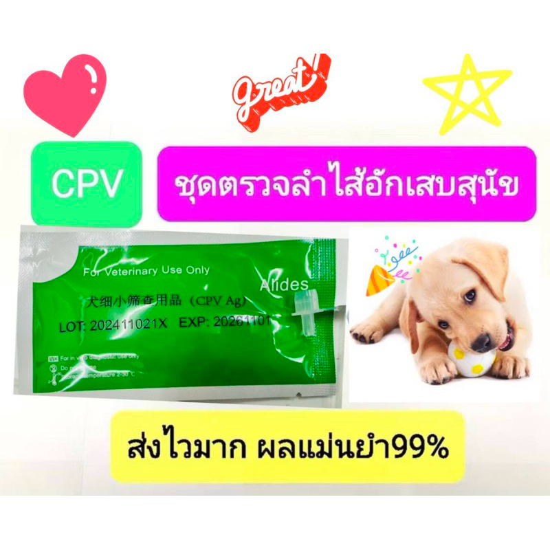 ชุดทดสอบลำไส้สุนัขcpv testแม่นยำ ส่งไว