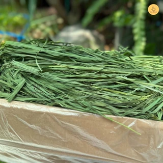 CBRF หญ้ากระต่าย หญ้าโอ๊ตอบลมร้อน Super Premium Oat Hay 1Kg. สำหรับกระต่าย สัตว์ฟันแทะ ไม่มีสกรีนลัง