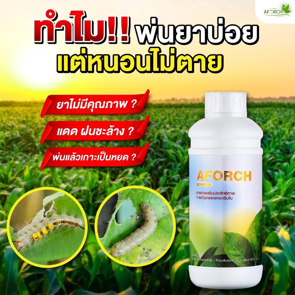 เอฟอช AFORCH สารจับใบ สารนำพา ขนาด 1,000 ซีซี ไม่ทิ้งสารตกค้าง ดูดซึมทันที ช่วยประหยัดค่าปุ๋ย ราคา ถูกที่สุด ดีลบีเคเค รูปภาพหลัก