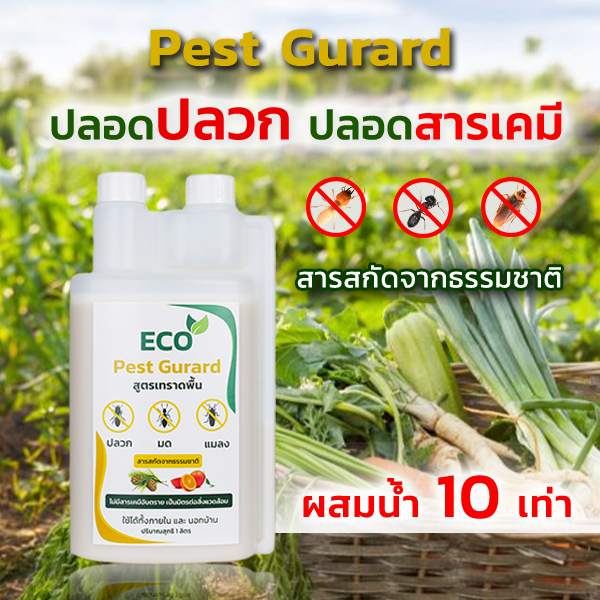 Pest Gurard กำจัดปลวก ไล่ปลวก สมุนไพรปลวก ไล่ปลวกปลูกผัก