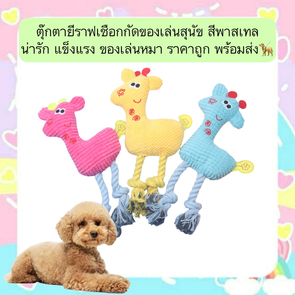 AL-631 ตุ๊กตายีราฟเชือกกัดของเล่นสุนัข สีพาสเทล น่ารัก แข็งแรง ของเล่นหมา ราคาถูก พร้อมส่ง🦮