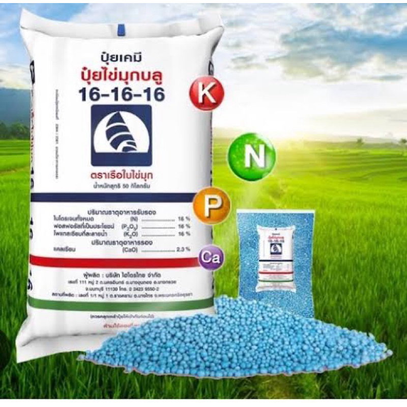 ปุ๋ยเรือใบไข่มุก แบ่งขาย 5 กิโลกรัมสูตร15-15-15 ,16-16-16