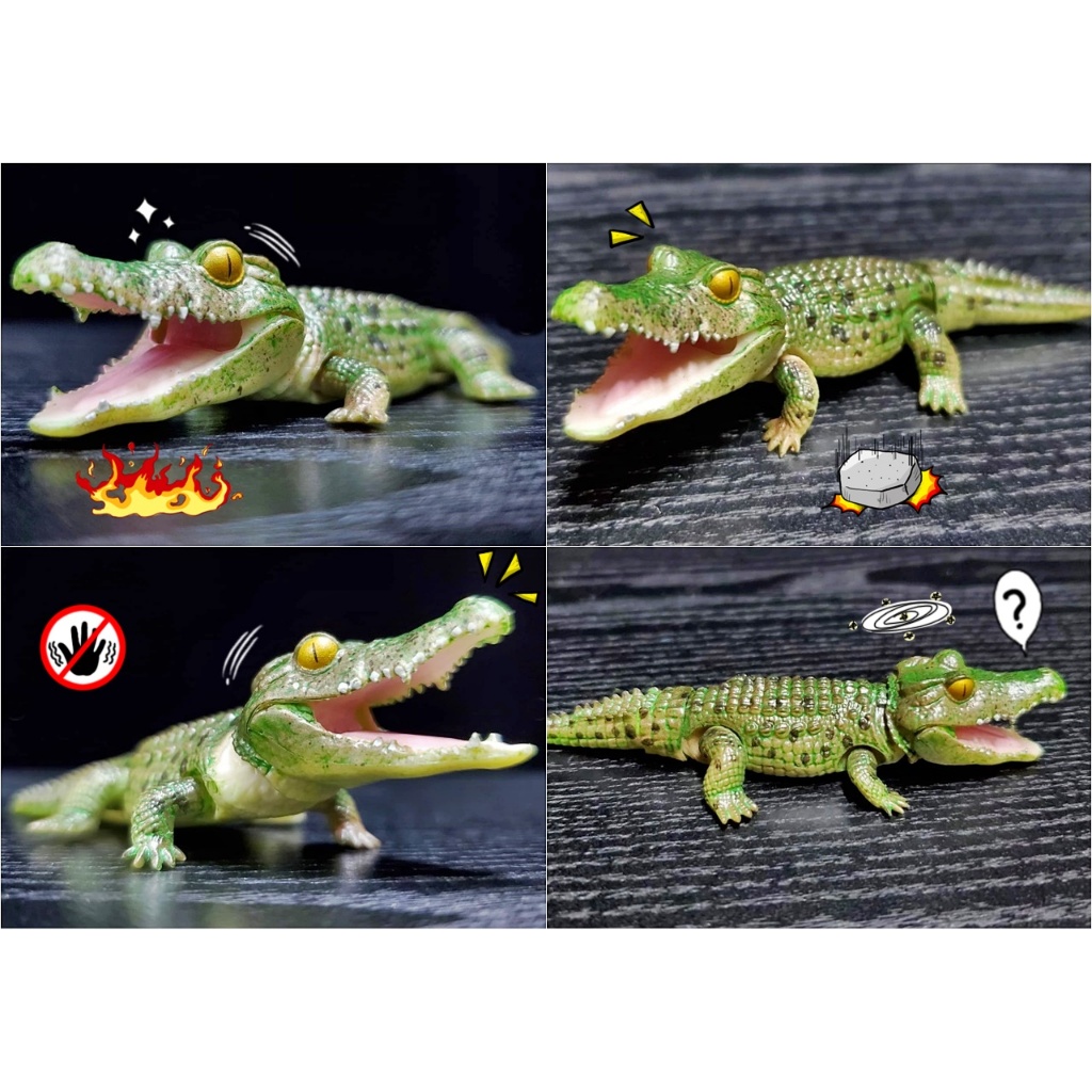 (ครบชุดพร้อมส่ง) กาชาปองจระเข้มินิ Gashapon Bandai Ikimono Encyclopedia Crocodile Mini โมเดลสัตว์ ราคา ถูกที่สุด ดีลบีเคเค แกลเลอรีภาพที่ 7