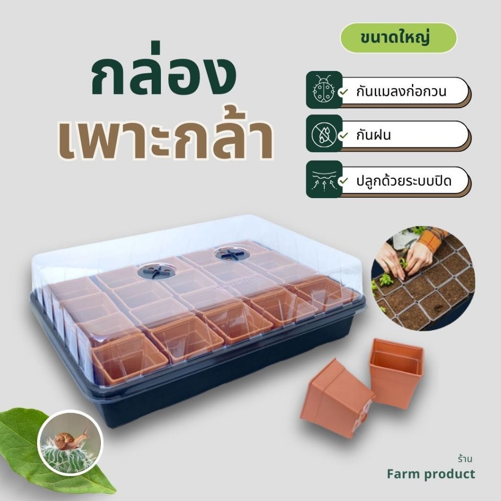 ชุดกล่องเพาะกล้า ถาดไดโซะฟร้อมฝา l เพาะเมล็ด,แคตตัส, พร้อมกระถาง