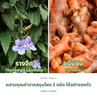 ชารางจืดผสมขมิ้นชัน ชาสมุนไพร ตราไร่กฤติยา สูตร 18