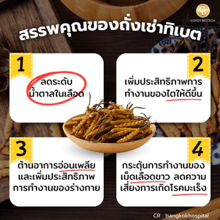 Cordythai คอร์ดี้ไทย ถั่งเช่า อนุสิทธิบัตรร่วม มหาวิทยาลัยเกษตรศาสตร์