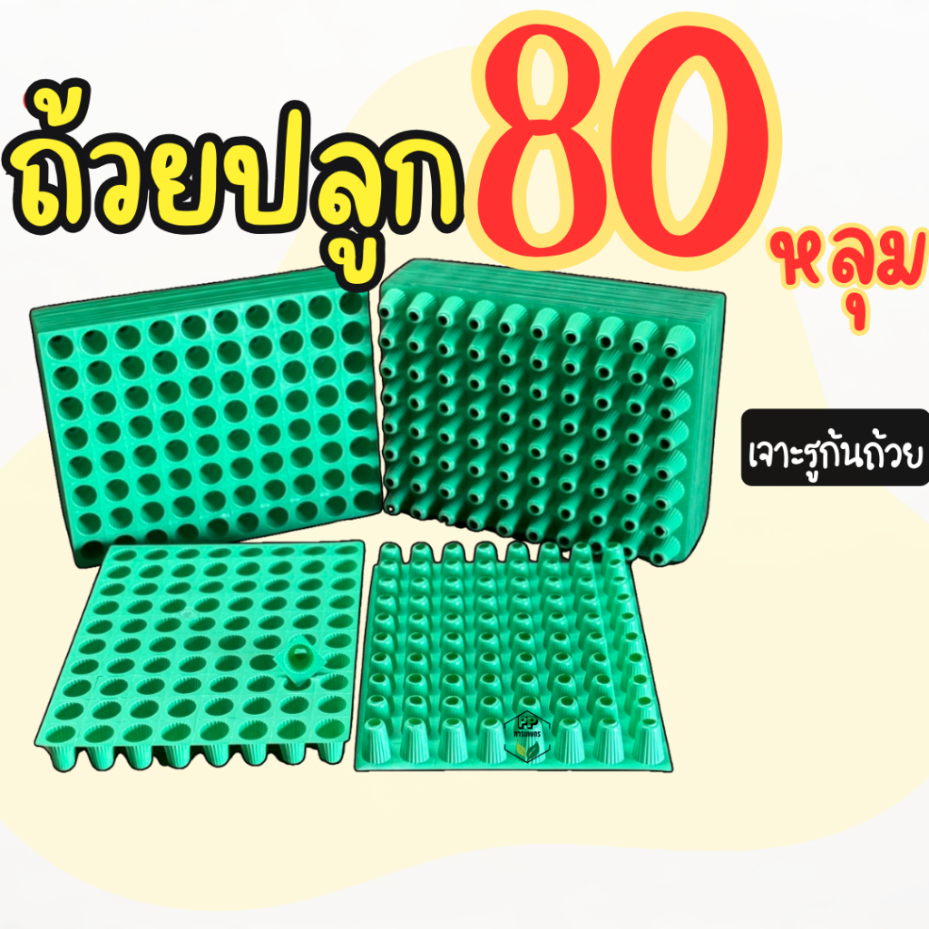 ถ้วยปลูกผักไฮโดรโปนิกส์ 80 หลุม (สีเขียว) ถ้วยปลูกผักสีเขียว A+ (*พร้อมเจาะรูก้นถ้วย*)