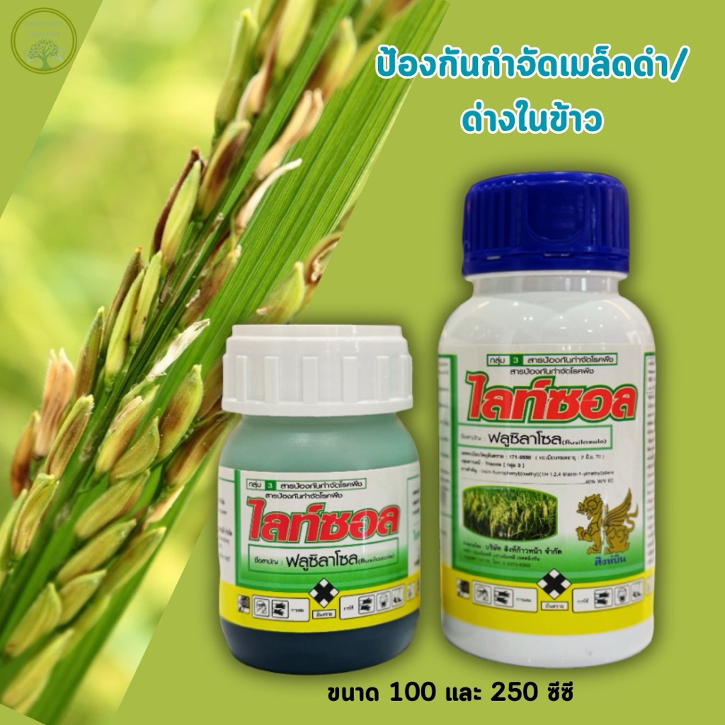 ไลท์ซอล100 cc ฟลูซิลาโซล ป้องกันกำจัดโรคเมล็ดด่างในข้าว รูปที่ 3