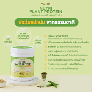 YOUR Nutri Plant Protein (ยัวร์) นิวทริ แพลนท์ โปรตีนพืช100% รส Natural 500 g. 1 กระปุก ส่งฟรี-045000301