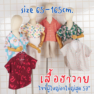 เสื้อฮาวาย เสื้อเด็ก ครอบครัว ไซซ์เริ่มน้อง 8 เดือนจนถึงผู้ใ…