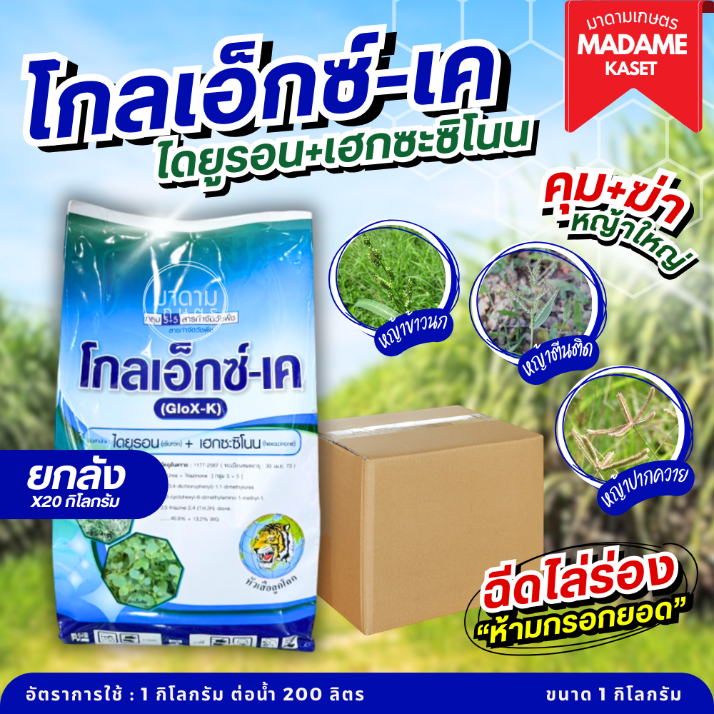 ยกลังx20kg | โกลเอ็กซ์-เค หัวเสือลูกโลก (ไดยูรอน+เฮกซะซิโนน) สูตรเม็ดออกฤทธิ์คุม+ฆ่าหญ้าใหญ่ในอ้อย