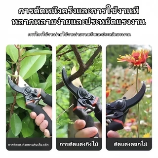 กรรไกรตัดกิ่งไม้ ที่มีคุณภาพสูง SK5ประเทศเยอรมนี ดอกไม้ เครื่องมือจัดทำสวน แท้ กรรไกรตัดกิ่ง คม ทน