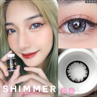 💋 มีค่าสายตา 💋 Wink Shimmer Gray Brown  บิ๊กอาย สุดปัง คอนแท…