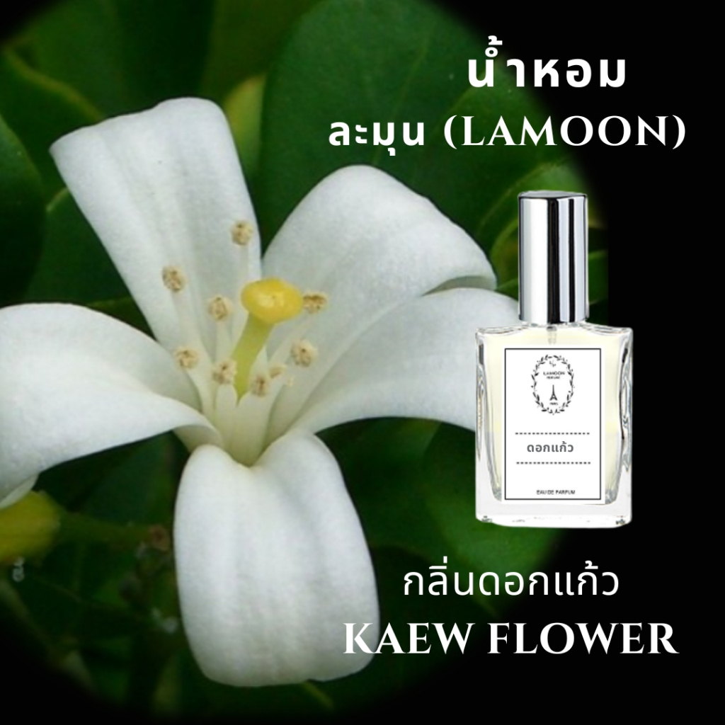 น้ำหอมดอกไม้ กลิ่นดอกแก้ว ขนาด 30 ml.หอมติดทนนาน 8-12 ชม.