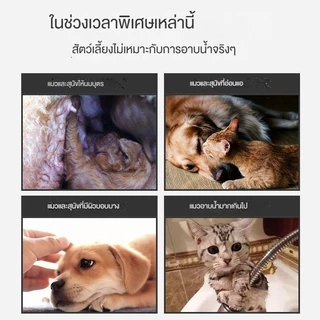 ถุงมืออาบน้ำสัตว์เลี้ยง ไม่ระดายเคืองผิว ไม่ต้องล้างน้ำ สัตว์เลี้ยงเลียได้ ปราศจากแอลกอฮอล์ COD