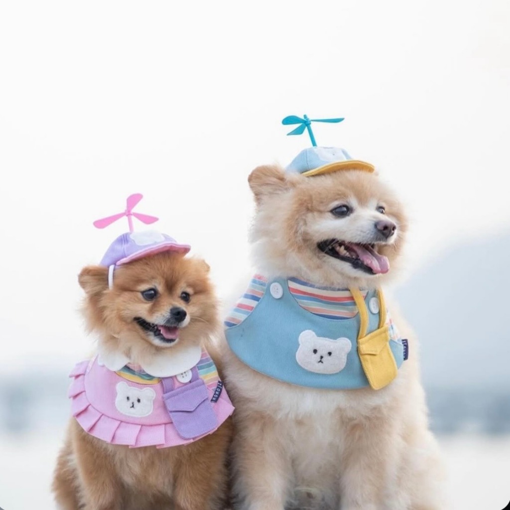 Momoji Bear Drone Hat หมวกสุนัข หมวกแมว หมวกใบพัด คอปเตอร์ไม้ไผ่ หมวกโดเรม่อน