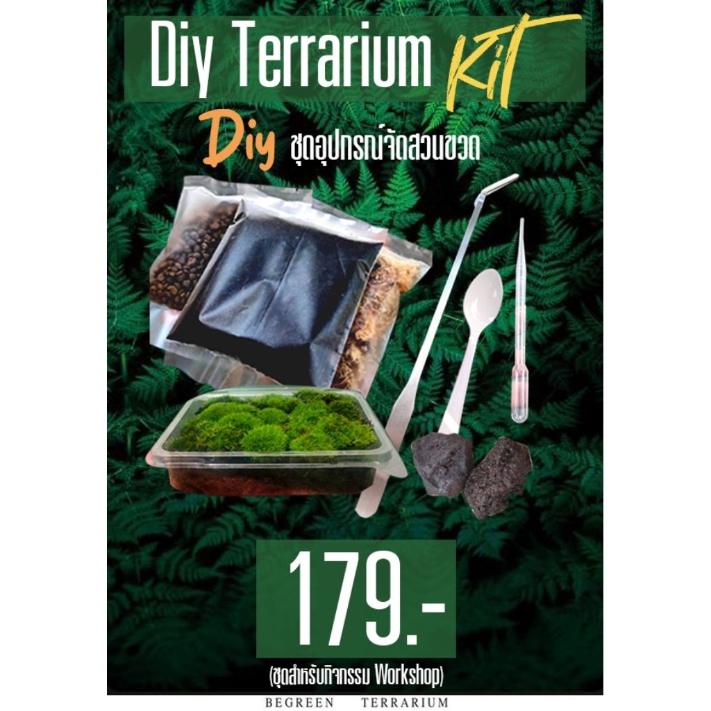 Diy Terrarium Kit 179.-