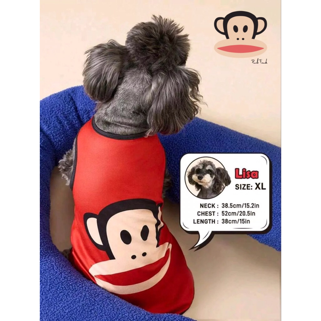 [พร้อมส่ง🇹🇭] เสื้อสำหรับแมวและสุนัข Paul Frank©️(100% official licensed product)