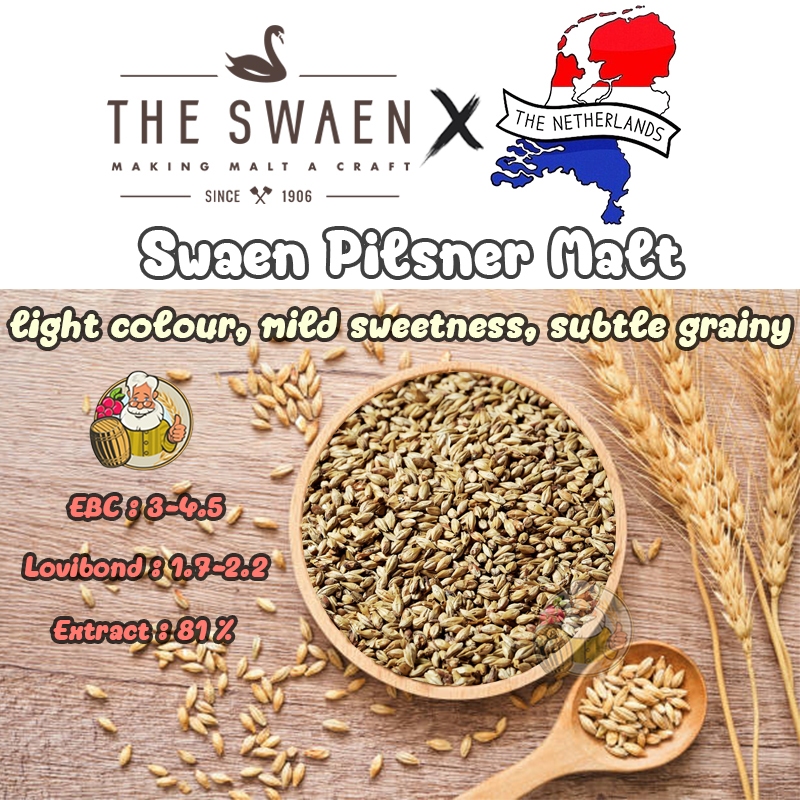 พิลส์เนอร์ มอลต์ Pilsner Malt THE SWAEN© Malt ทำเบียร์ เดอะ สวอน©
