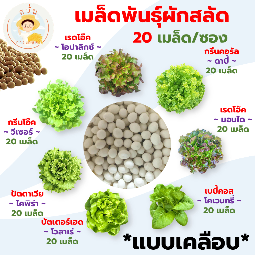 เมล็ดพันธุ์ ผักสลัด กรีนคอส กรีนโอ๊ค เรดโอ๊ค บัตเตอร์เฮด ฟิลเลย์ ฯลฯ แบบเคลือบ นำเข้าตรงสายพันธุ์