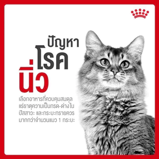 Royal Canin Urinary S/O อาหารประกอบการรักษา สูตรรักษาโรคทางเดินปัสสาวะโรคนิ่วสำหรับแมว 1.5 Kg