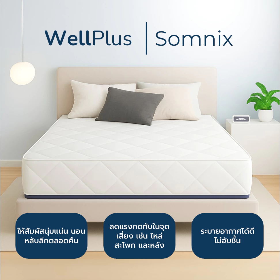 WellPlus ที่นอนยางพาราเสริมสปริง รุ่น Somnix หนา 10 นิ้ว thumbnail 4