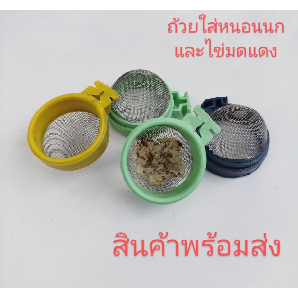 ถ้วยตะแกรงใส่หนอนนก ไข่มดแดง
