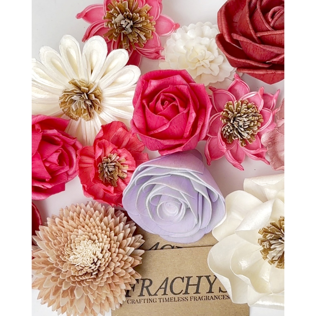 FRACHYS ดอกไม้ดูดน้ำหอมจากเปลือกโสนหางไก่ SOLA WOOD FLOWERS งานฝีมือไทย อยู่ได้นาน (ไม่มีเชือก)