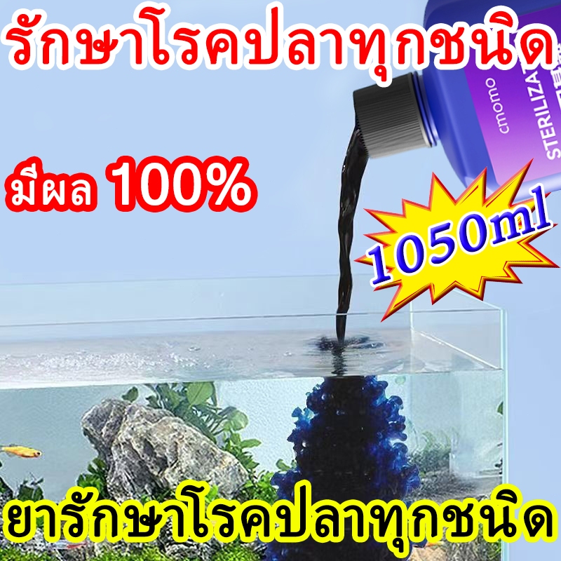 Methylene Blue สามารถรักษาโรคปลานับร้อยชนิดได้ เมทาลีนบลู อ่อนโยนไม่ระคายเคือง ฆ่าเชื้อ เมทิลีนบลู methylene blue usp