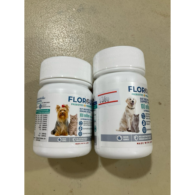Florgut บรรจุ 30 แคปซูล  อาหารเสริมพรีไบโอติกและโพรไบโอติก ปรับสมดุลลำไส้ สำหรับในสุนัขและแมว
