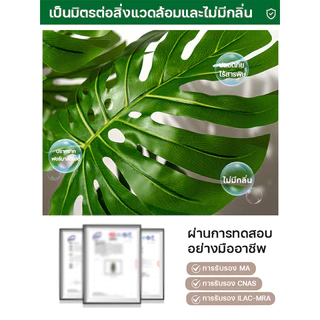🔥ราคาถูกที่สุด🔥 SAT มอนเสตอร่า ต้นไม้ปลอม ฟรีกระถางดอกไม้ต้นไม้+หินตกแต่ง ความจำลอง 99% สไตล์นอร์ดิก ในบ้าน