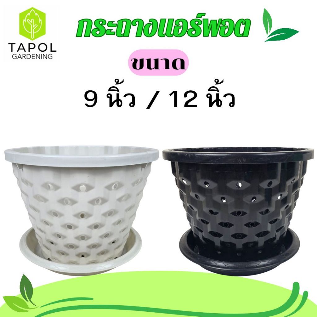 กระถางแอร์พอต ขนาด 9 นิ้ว / 12 นิ้ว กระถางระบายน้ำได้ดี รากแข็งแรง รากไม่เน่า พลาสติกคุณภาพดี ทนทาน น้ำหนักเบา ราคา ถูกที่สุด ดีลบีเคเค แกลเลอรีภาพที่ 2