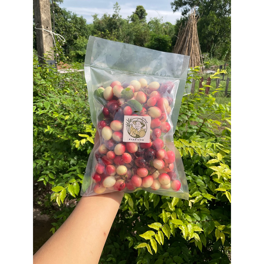 🍓มะม่วงหาวมะนาวโห่สด 200-500กรัม ออร์แกนิค💯%