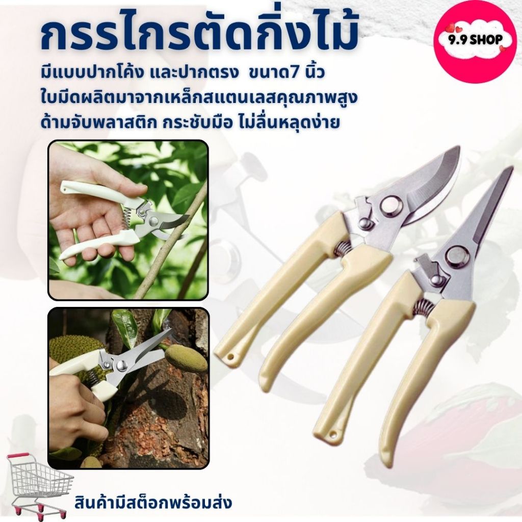 🚚พร้อมส่ง🚚กรรไกร ตัดกิ่งไม้ กรรไกรทำสวน กรรไกรแต่งกิ่งปากโค้ง แบบสเตนเลส ขนาด 7 นิ้ว ใช้งานอเนกประสงค์ ราคา/ชิ้น