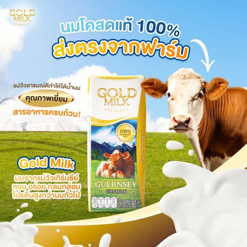 ส่ง 27 เม.ย. เพิ่มปริมาณเป็น 200 ml.นมโกลด์มิลค์ Gold Milk Guernsey นมวัวแท้  %ไม่ผสมนมผง ส่งฟรีจากฟาร์ม ราคา ถูกที่สุด ดีลบีเคเค แกลเลอรีภาพที่ 9