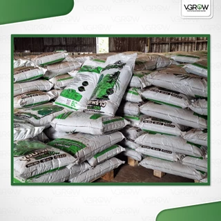 Gempulo Coco peat 100% ขุยมะพร้าวล้วน ขนาด 80 ลิตร ล้างทำความสะอาดสารแทนนินแล้ว ขุยมะพร้าวถุงใหญ่