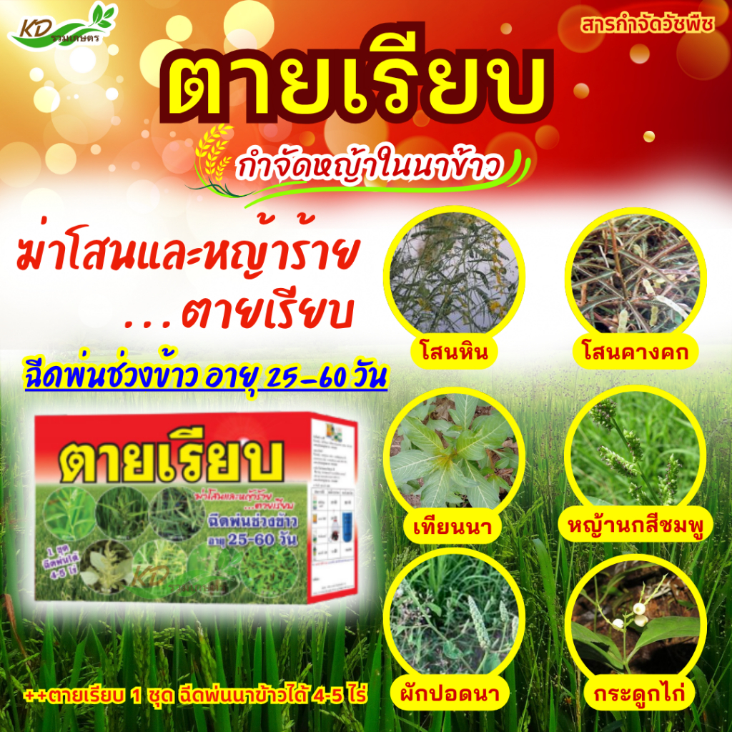 ตายเรียบ*ยากำจัดวัชพืชในนาข้าว ยารัวข้าว หญ้าทุกชนิดตายเรียบ ฉีดได้ 4-5 ไร่
