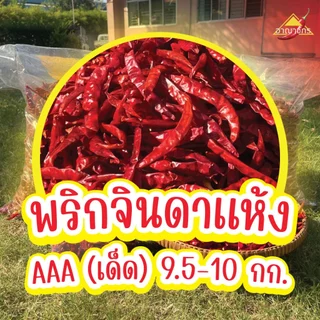 พริกแห้ง จินดา อินเดีย (เด็ด) 9.5-10 กก. คัดเกรด AAA เม็ดสวย เรียวยาว ทำน้ำพริก ทำพริกแกง ทำพริกป่น