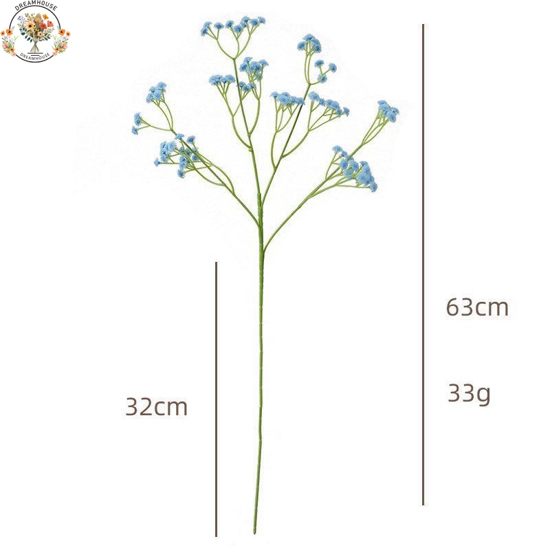 รูปภาพ 5